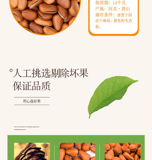 明劲坚果 唤醒办公活力的野生干果之选